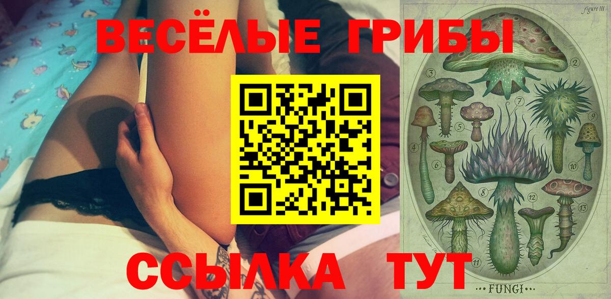 Галлюциногенные грибы MAGIC MUSHROOMS Котлас