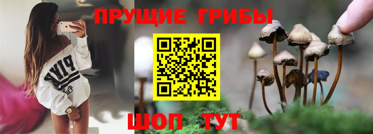 Галлюциногенные грибы прущие грибы  Псилоцибиновые грибы Magic Shrooms  наркотики  Котлас  Вход с VPN 